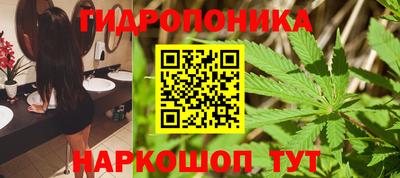 стафф Бузулук