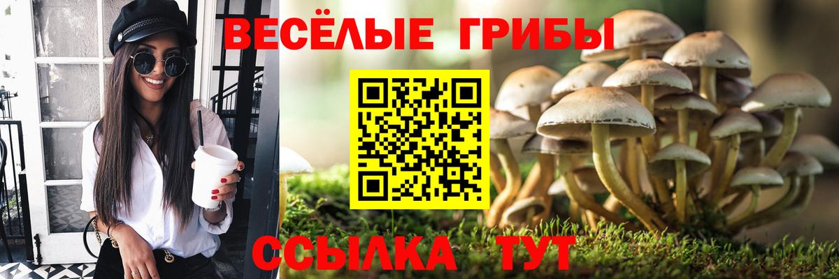 Галлюциногенные грибы Magic Shrooms Кувандык