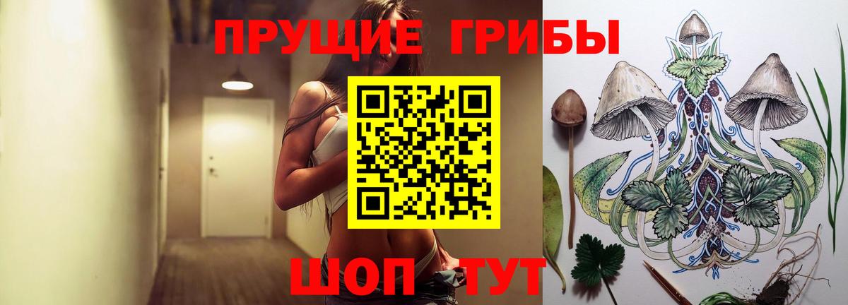 Галлюциногенные грибы Cubensis  Вход с VPN  Псилоцибиновые грибы мухоморы  Кувандык 